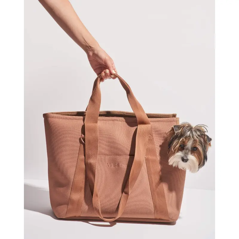 Everyday Carrier