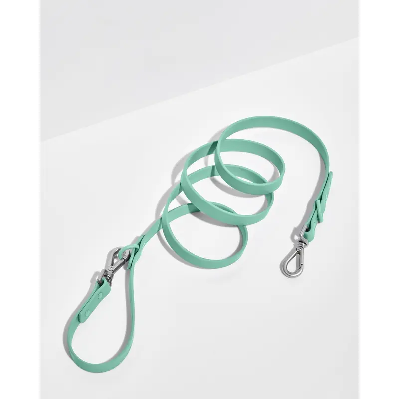 Leash