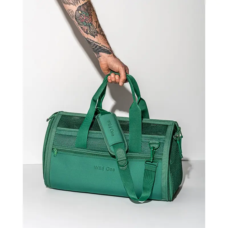 Travel Carrier