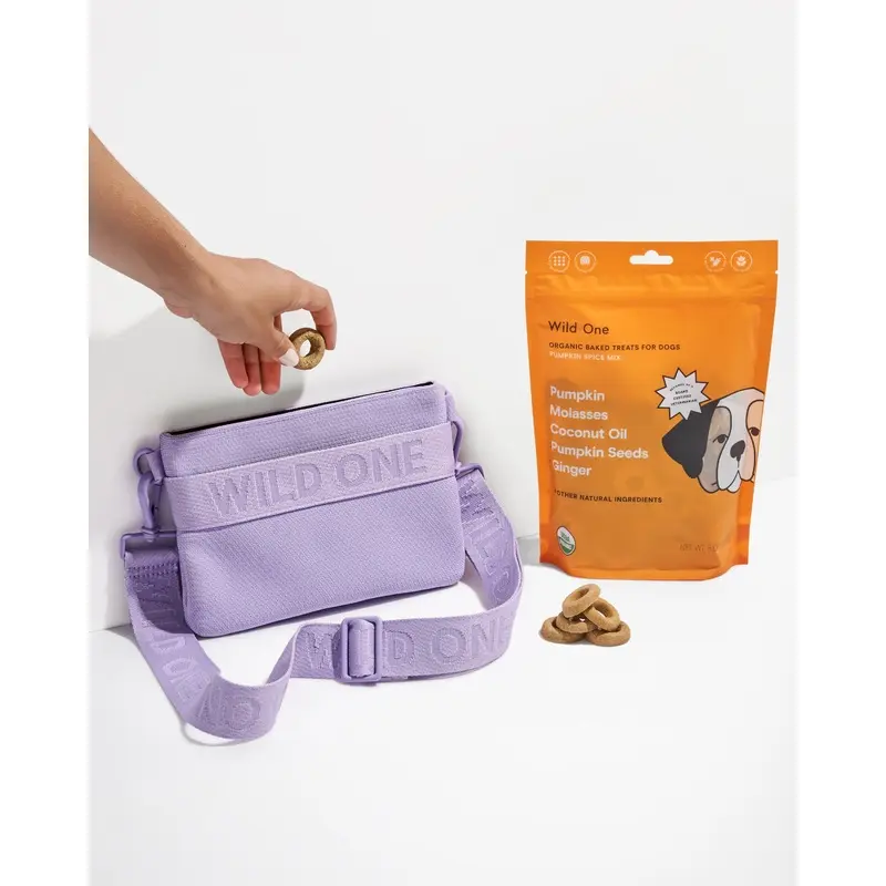 Treat Pouch Kit