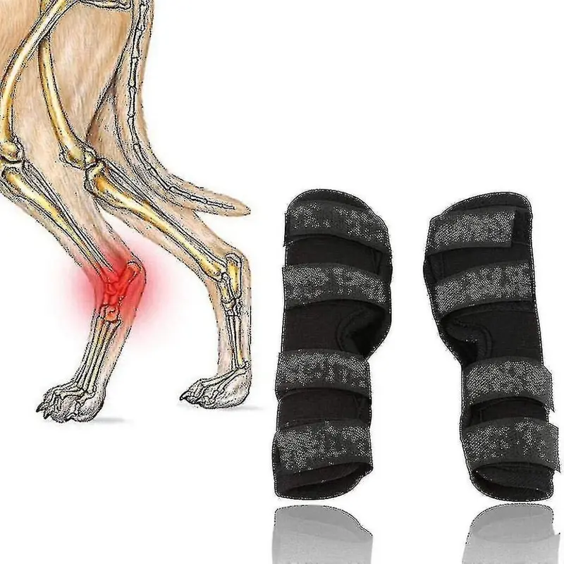 (M) Dog Leg Brace, Dog Canine Leg Wrap Front Leg Compression Brace