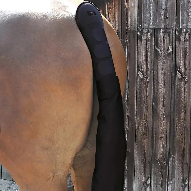 Premier Equine Int. Unisex Black Premier Equine Padded Tail Guard With Tail Bag