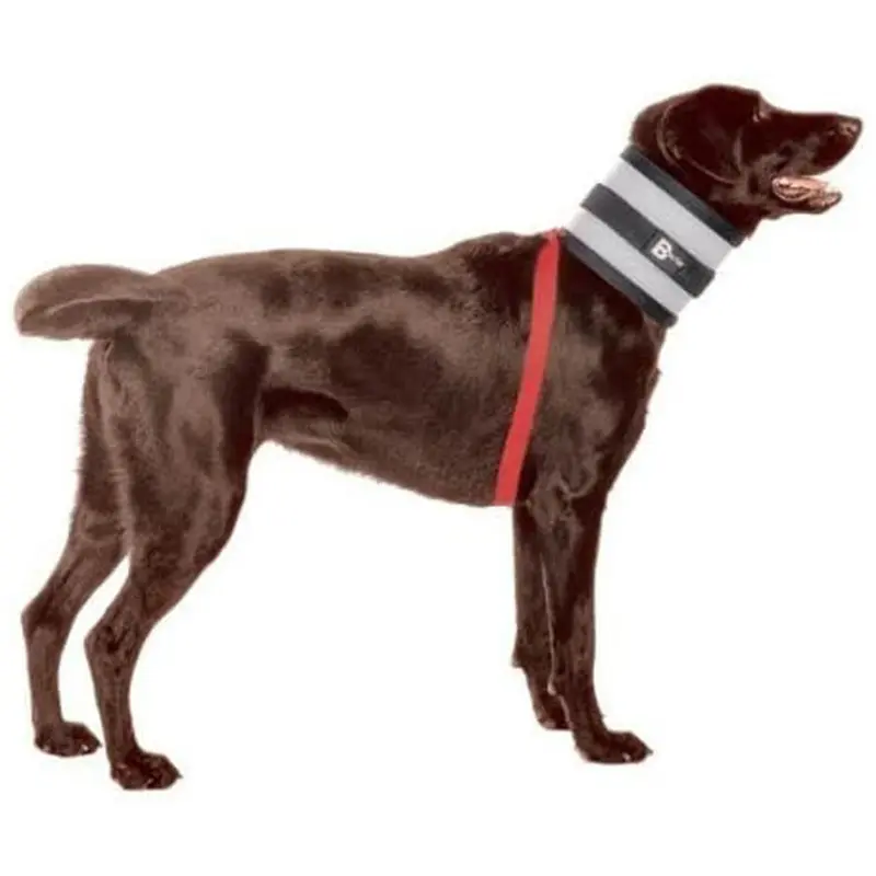 No Muerdas Bitenot Collar 6"" W X 27"" Extra Large