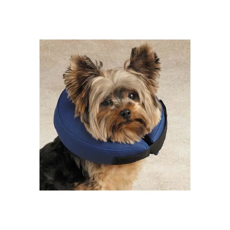 Pamperedpets Blue Health Inflatable Collar Lrg