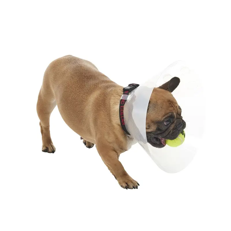 Buster E-Collar For Brachycephalic Dogs - Medium