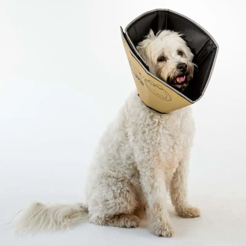 All Four Paws Pet E-Collar 14 Cm Tan Pet Supply Dog Recovery Medical Cone 14Cm