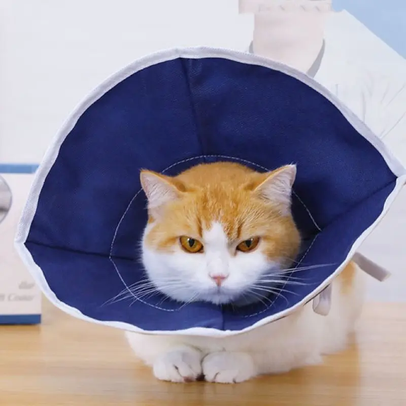 Pets Villa Soft Elizabethan Pet Collar | : Small