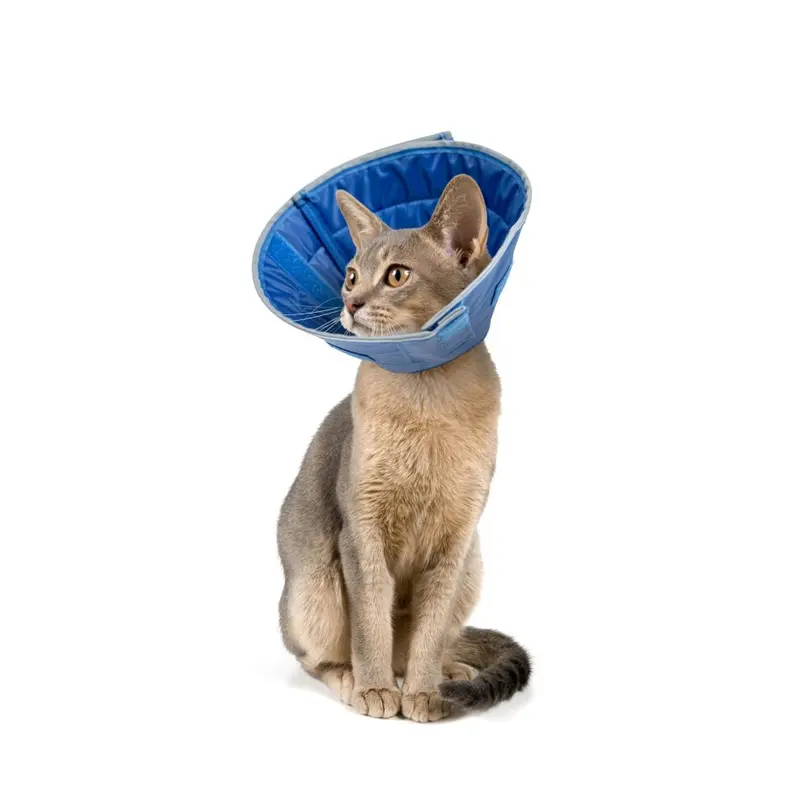 Kalme Poten Gedrag S Calm Paws Cat Caring Collar W/Calming