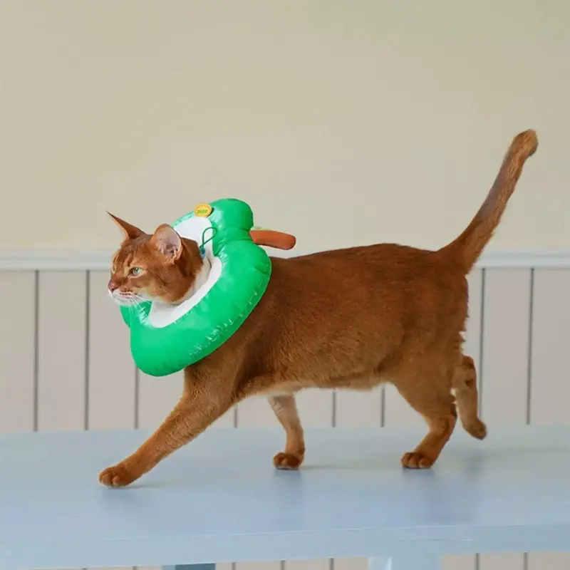 Zeze Green Apple Care Apple Pet Cone Elizabethan Collar | Colour: | : Large