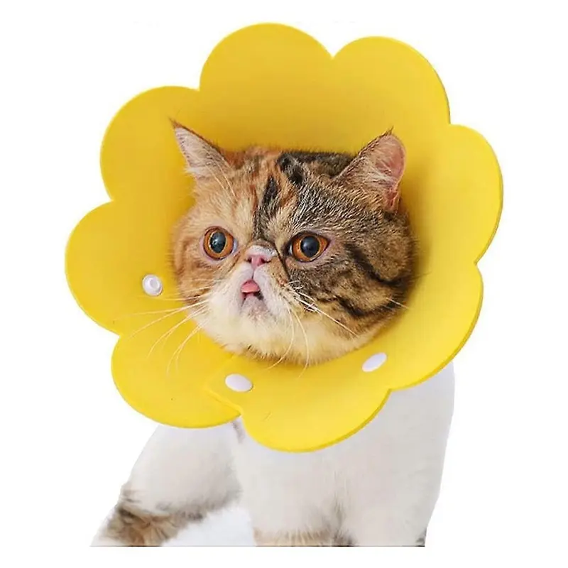 Dolaso Yellow Pet Collar Anti-Lick Collar Protective Collar Elizabethan Cat Collar (, L)