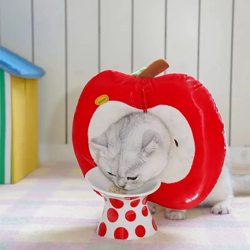 Zeze Red Apple Care Apple Pet Cone Elizabethan Collar | Colour: | : Large