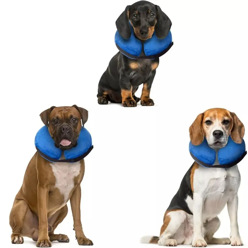 Furdreams ) Inflatable Pet Cone Large