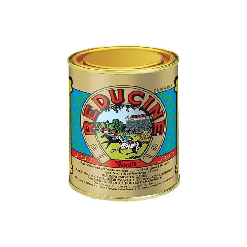 Farnam Dor Horse Limb Care Paste Reducine Absorbent