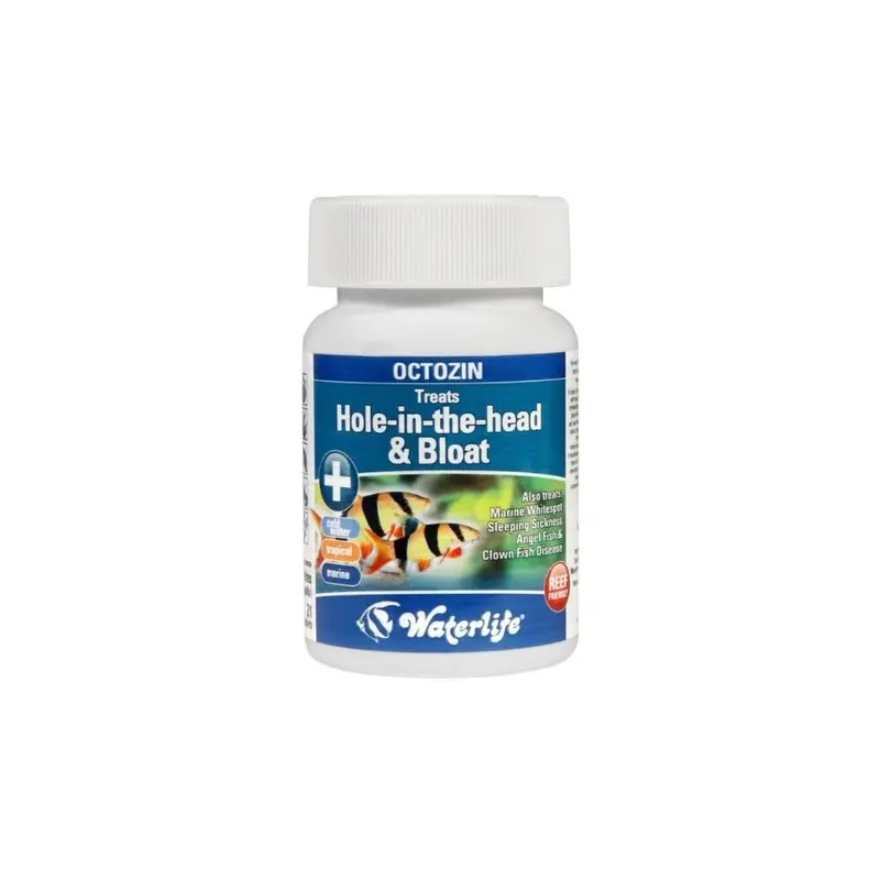 New Waterlife Octozin Tablets Hole In The Head 7 Bloat Treatment Size 21