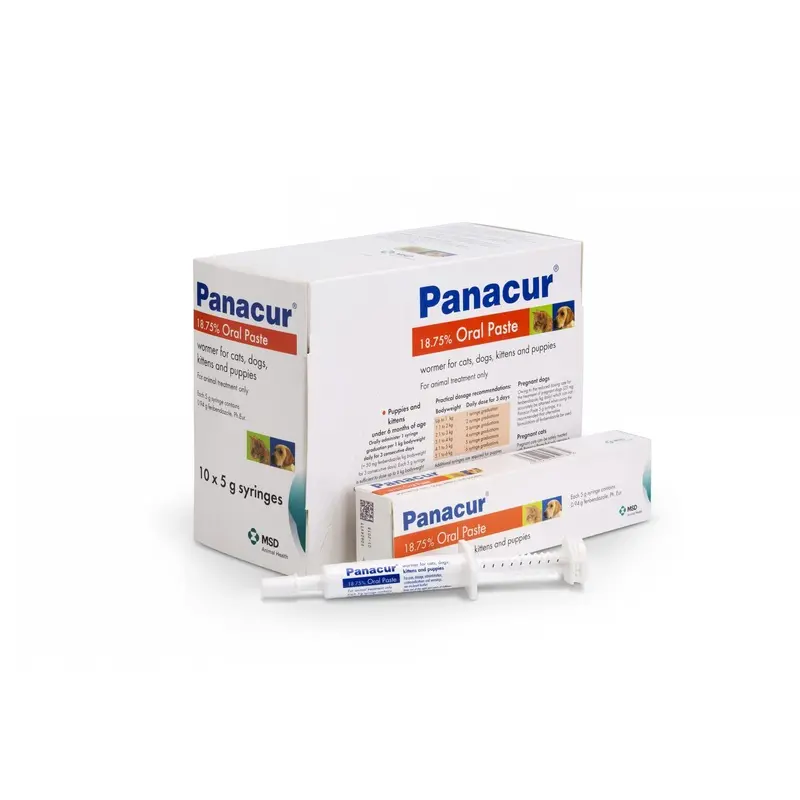 Panacur Paste For Dogs And Cats - Syringe - Single 5G