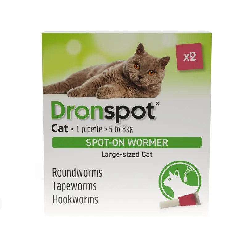 Dronspot Spot-On Wormer For Large Cats 5.01-8Kg 2 Pack
