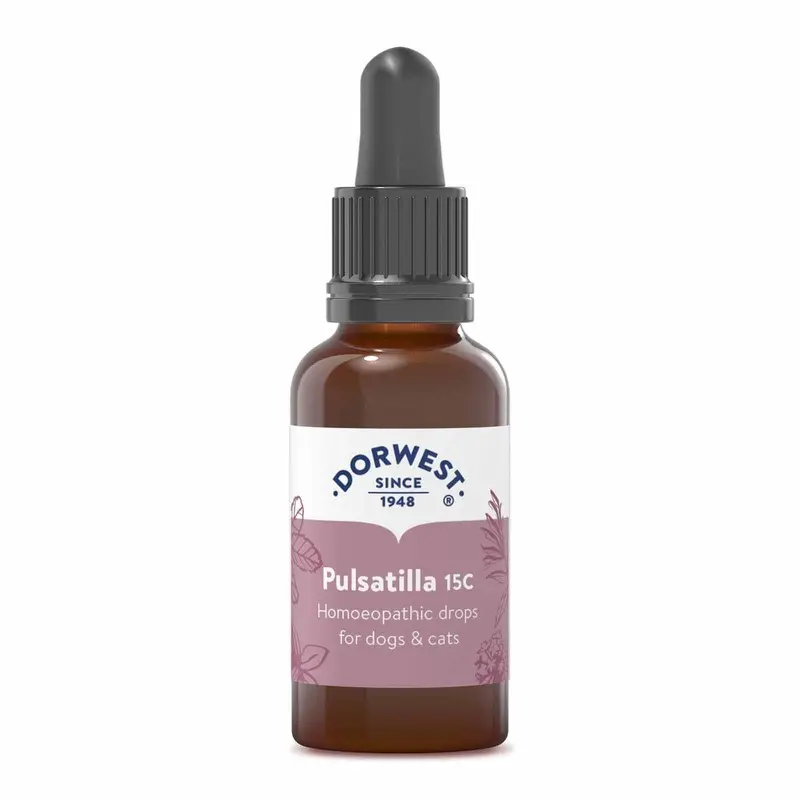 Dorwest Herbs Pulsatilla 15C Homoeopathic Liquid Remedy for Dogs & Cats - 15ml