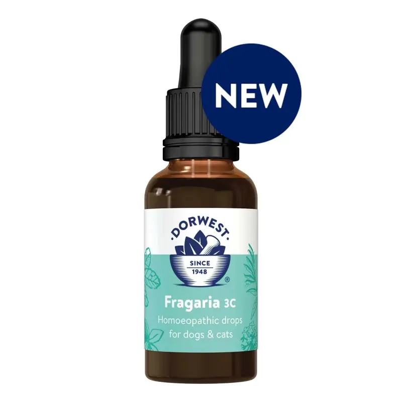 Dorwest Fragaria 3C - 15Ml Liquid Size 3