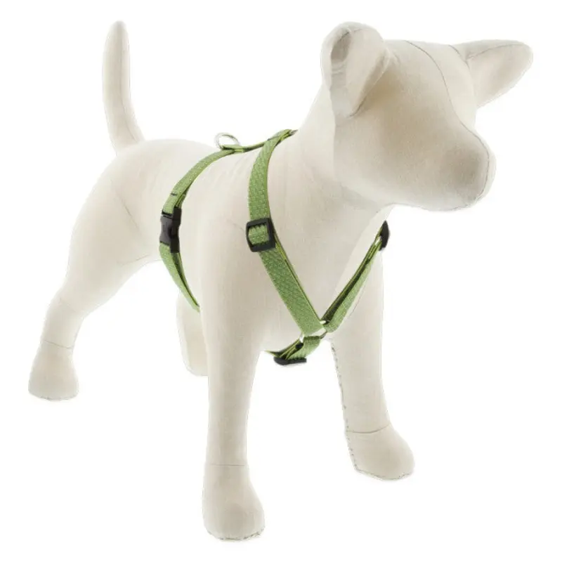 Lupine Eco Roman Dog Harness 3/4" x 12"-20" Moss