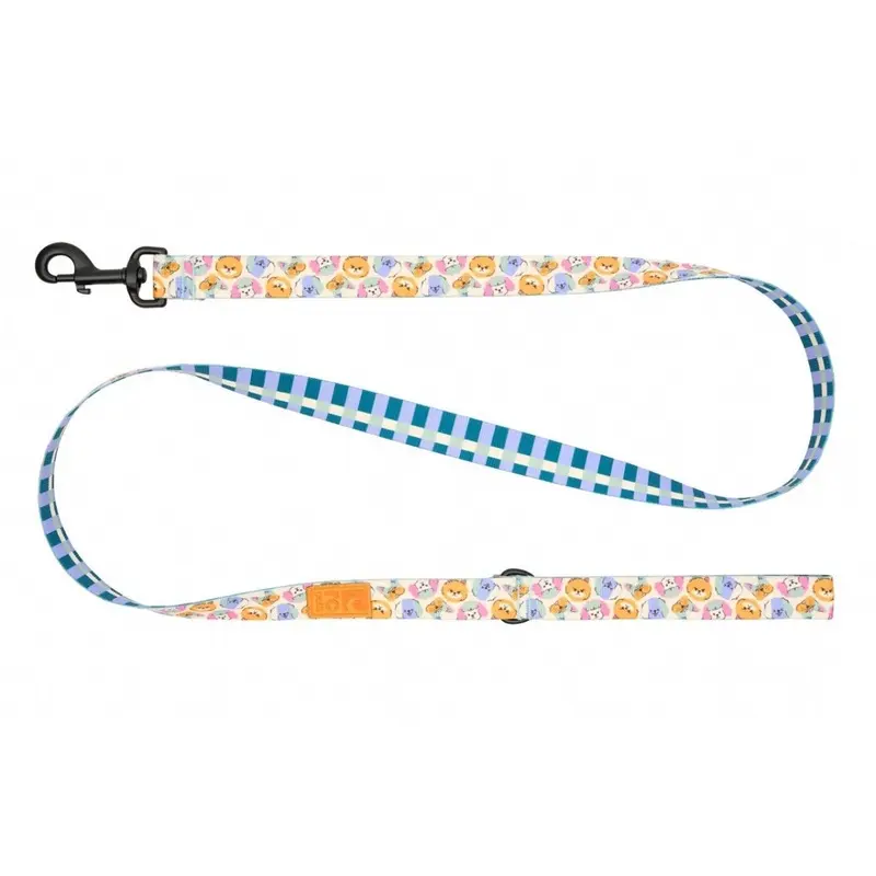 RC Pets Eco Dog Leash 1"x5' Pup-Moji Gridlock Weave