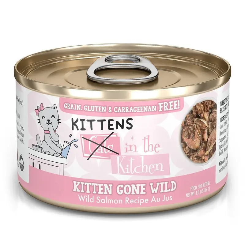 Weruva Cats In The Kitchen Kitten Wet Cat Food - Gone Wild Salmon - 3oz