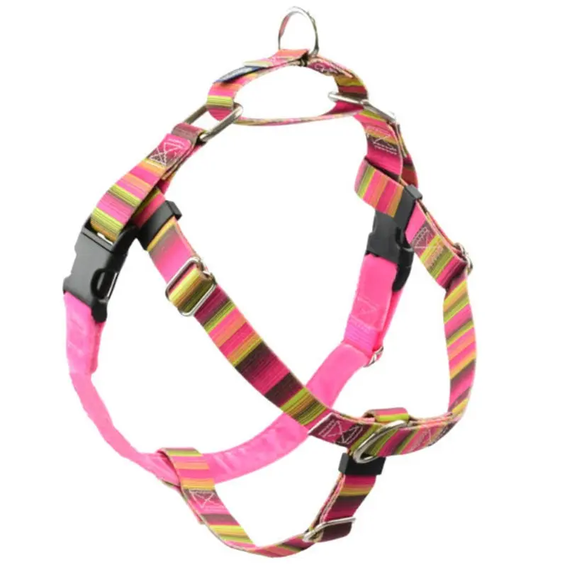 2 Hounds Design Freedom No-Pull Harness 1" Medium Bonnie