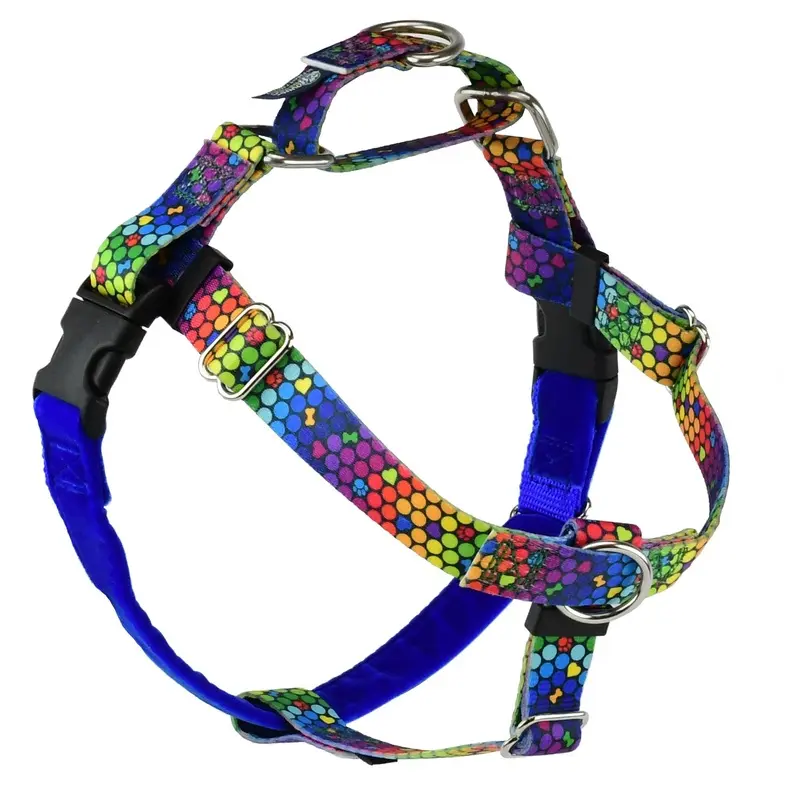 2 Hounds Design Freedom No-Pull Dog Harness Roy G BIV 1"Medium 24"28"