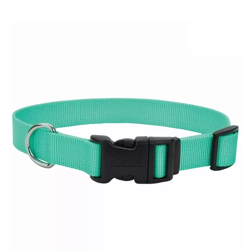 Coastal Adjustable Dog Collar with Plastic Buckle 1" x 18" - 26" Teal