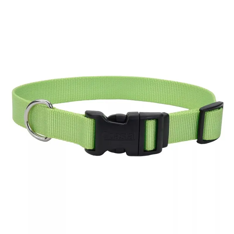 Coastal Adjustable Dog Collar with Plastic Buckle 5/8" x 10" - 14" Lime