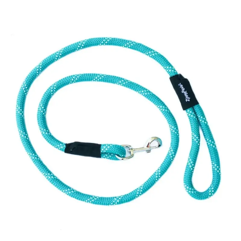The ZippyPaws CLIMBERS Teal Dog Leash, 6 Feet