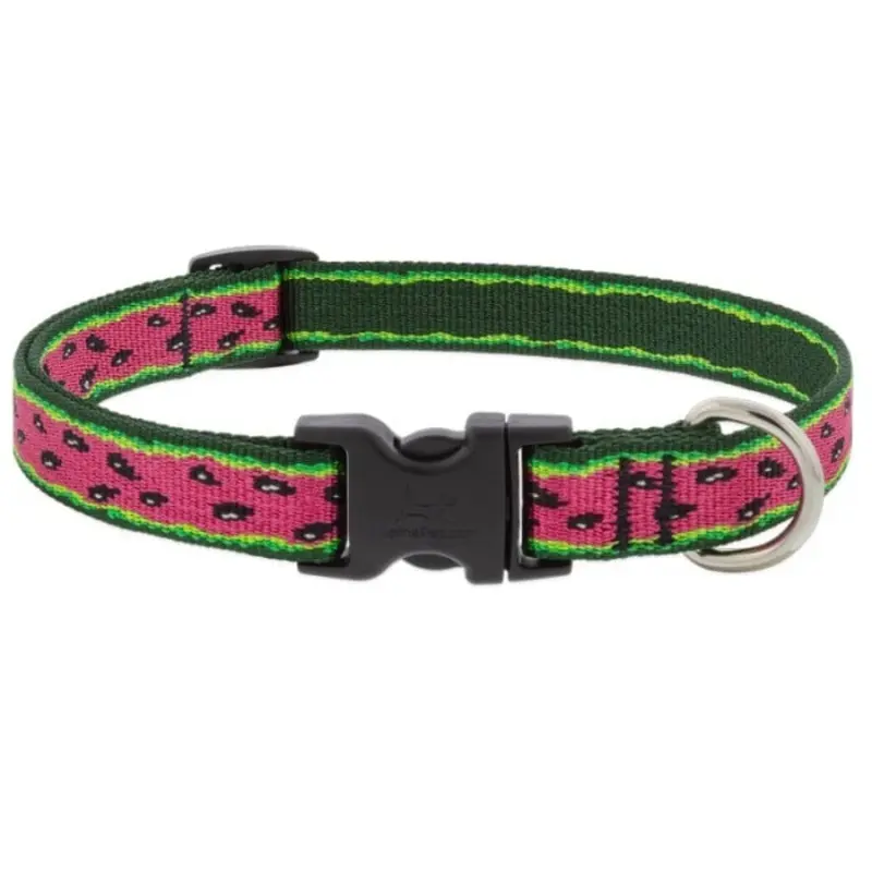 Lupine MicroBatch Safety Adjustable Dog Collar 3/4" x 9"-14" Watermelon