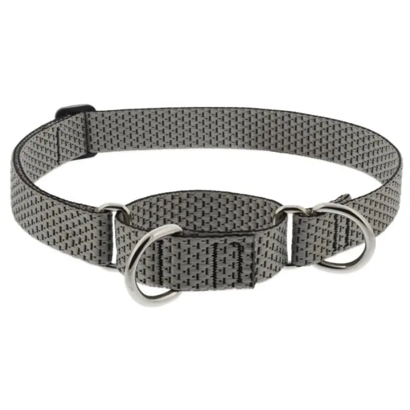 Lupine Eco Martingale Dog Collar for Training 1" x 15"-22" Granite