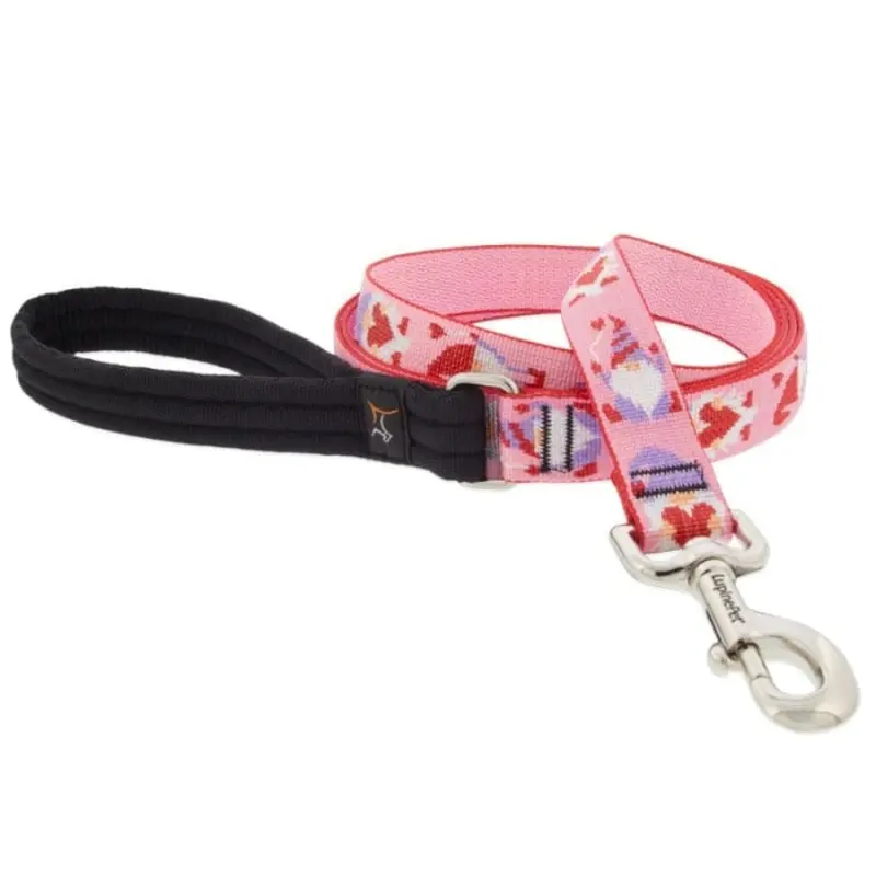 Lupine MicroBatch Limited Designs Dog Leash 1" x 6' Lovable Gnomes