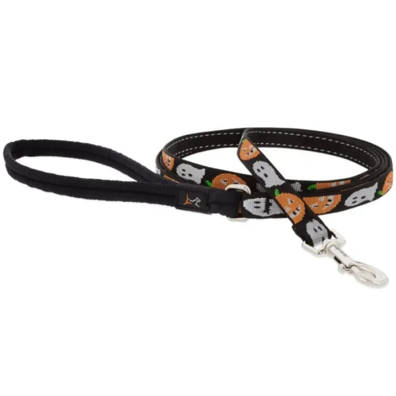 Lupine MicroBatch Limited Designs Dog Leash 1/2" x 6' Ghost