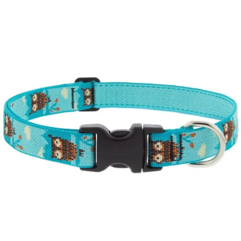Lupine MicroBatch Dog Collar 1" x 12"-20" Hoot