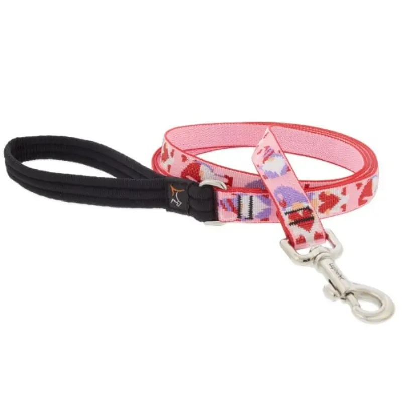 Lupine MicroBatch Limited Designs Dog Leash 3/4" x 6' Lovable Gnomes
