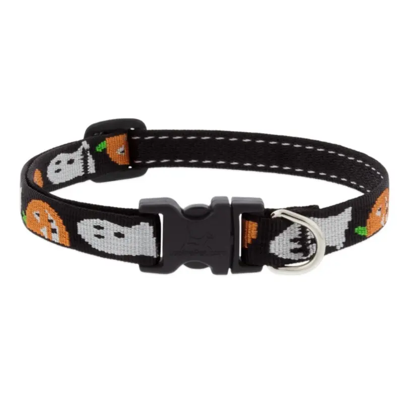 Lupine Adjustable Collar, Ghost, 1/2"x6-9"