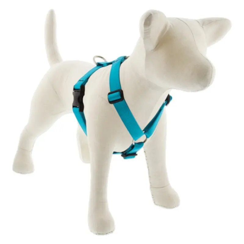 LUPINE Basic Solids Roman Dog Harness, Aqua, 1x20-32"