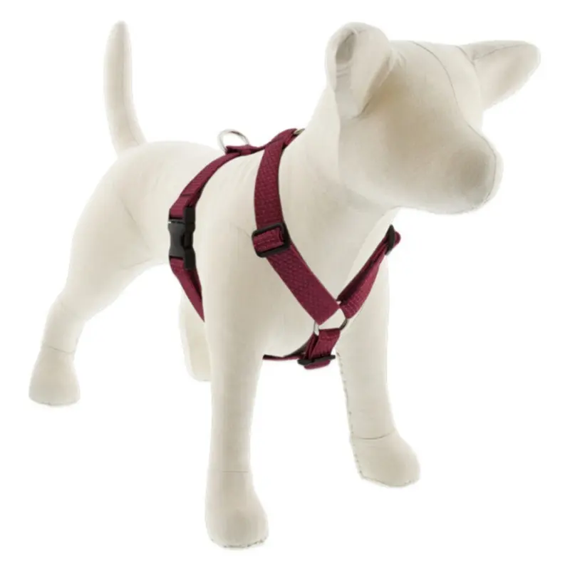 LUPINE Eco Roman Dog Harness, Berry, 1x24-38"