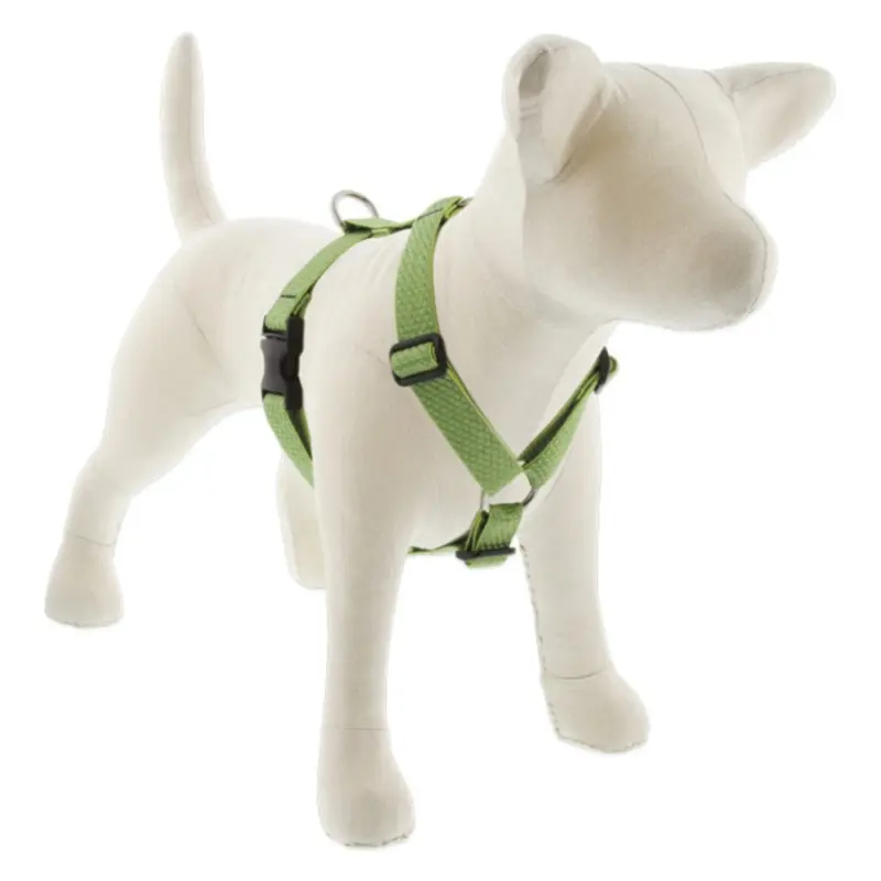 LUPINE Eco Roman Dog Harness, Moss, 1x24-38"