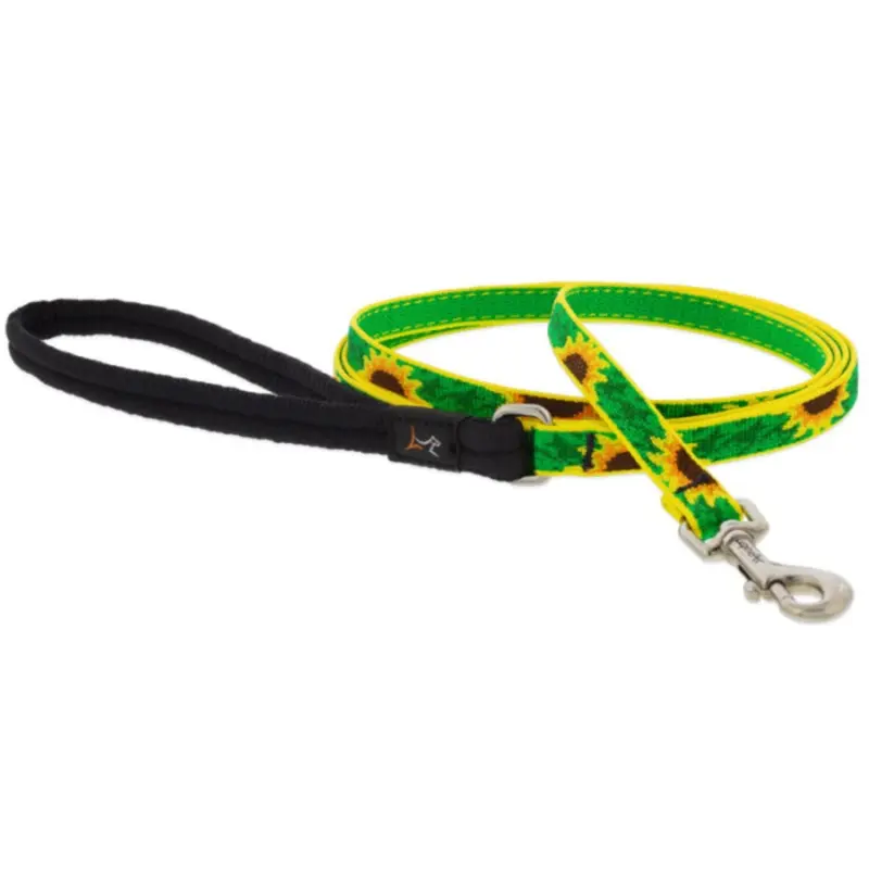 LUPINE Dog Leash, Sunflowers, 3/4x6"