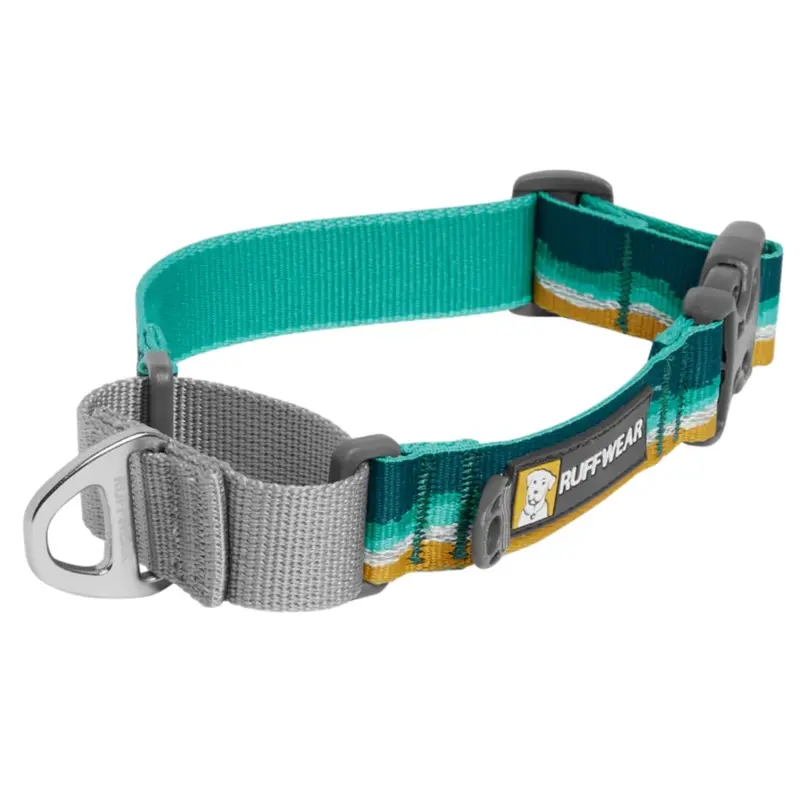 RUFFWEAR Web Reaction Martingale Dog Collar, Seafoam, 23-26"