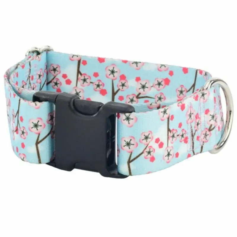 2 Hounds Design Cherry Blossoms Dog Collar Large 1.5"