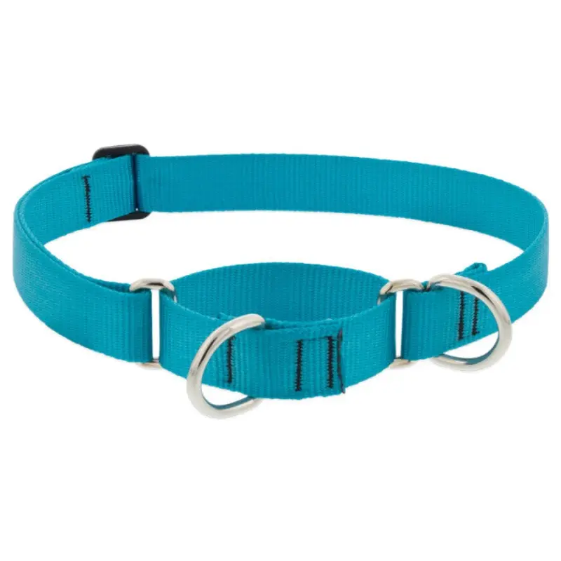 Lupine Martingale Collar for Training 1"x19-27" Aqua