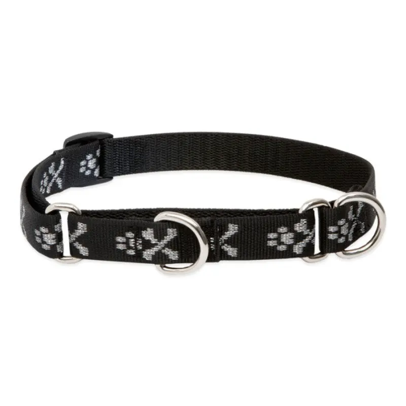 Lupine Martingale Collar for Training 3/4"x10-14" Bling Bonz