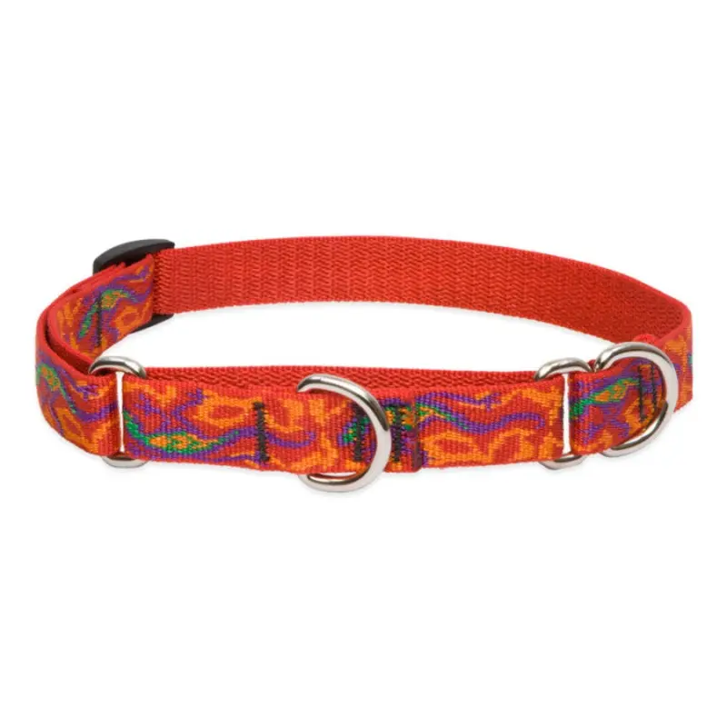Lupine Martingale Collar for Training 3/4"x14-20" Go Go Gecko