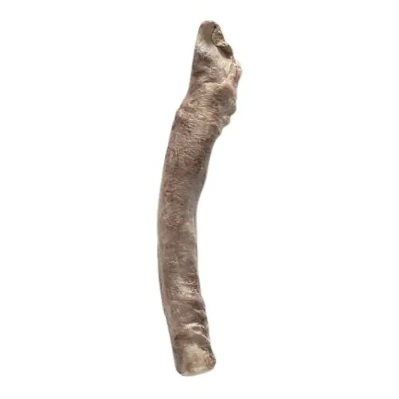 Bones & Co Freeze Dried Bully Sticks Dog Treats 35 Ct