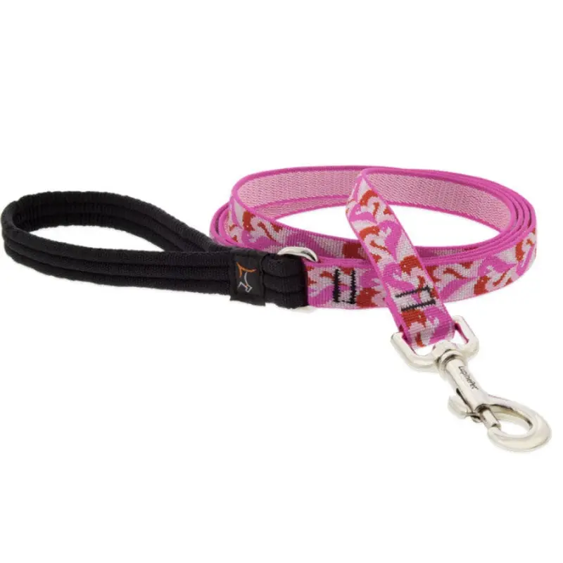Lupine MicroBatch Limited Designs Dog Leash 3/4" x 6' Lovebirds