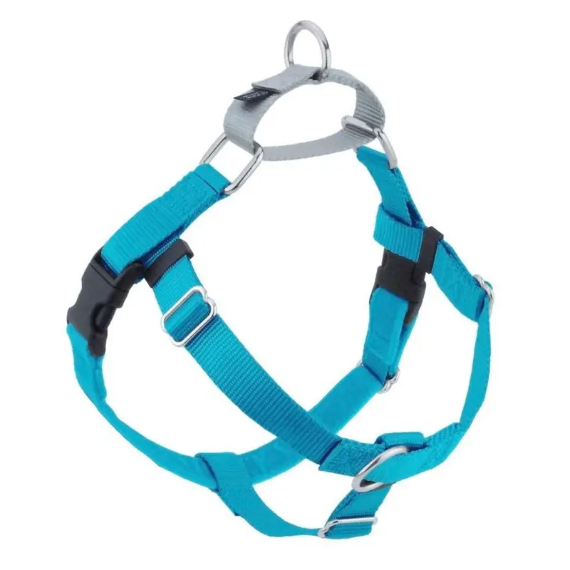 2 Hounds Design Freedom No-Pull Dog Turquoise 5/8"Small 20"24"