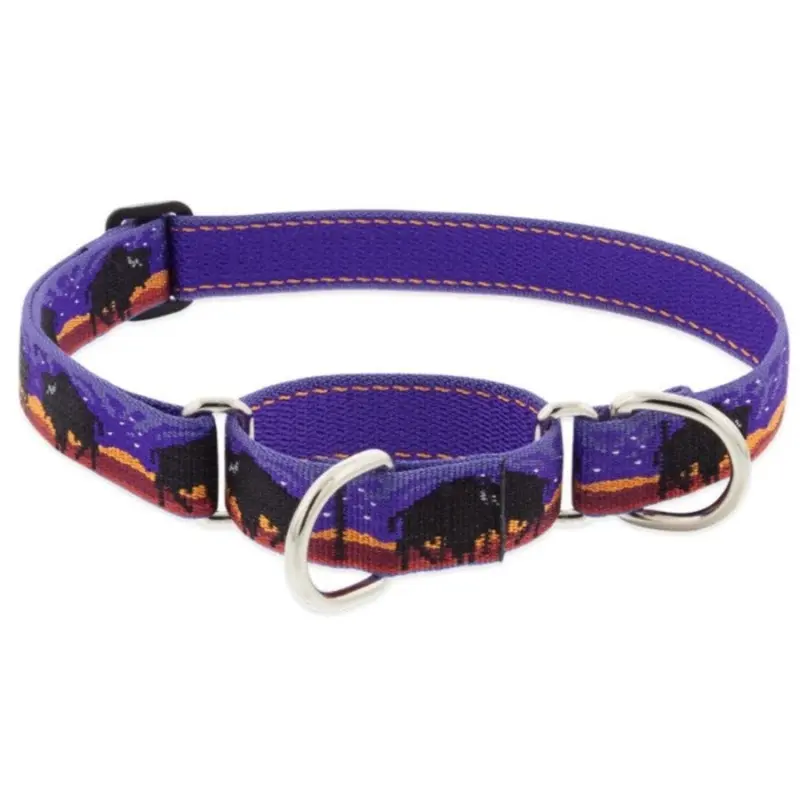 LUPINE Big Sky Collar for Dogs, 1'x12-20"